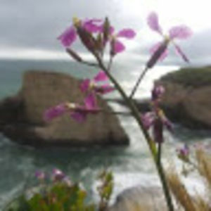 Meet your Posher, Yahaira